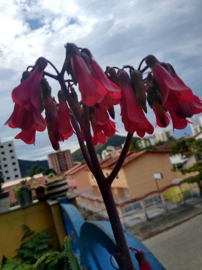 Apartamento com piscina na Martim de Sá Caraguatatuba Exterior foto